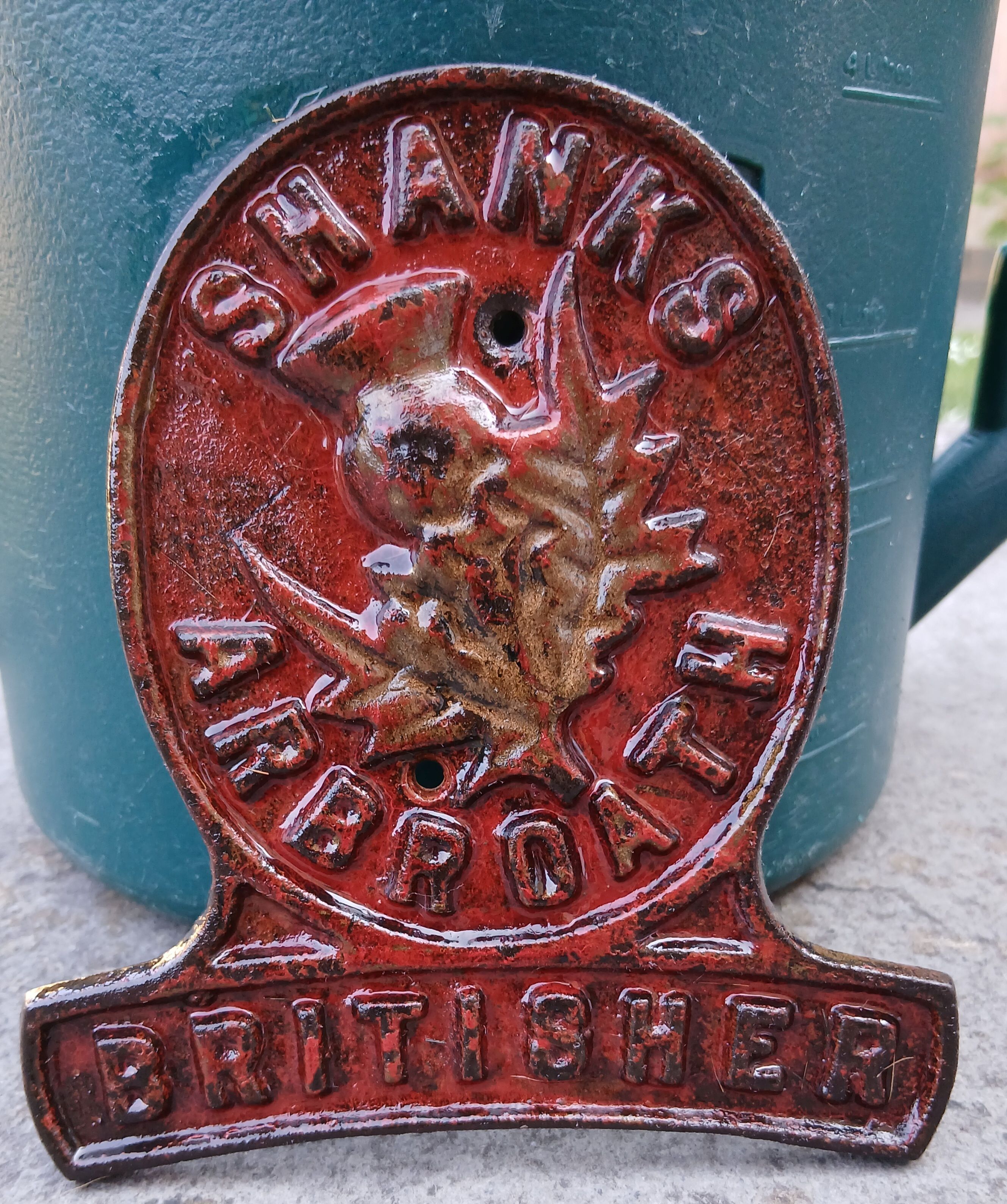 Shanks