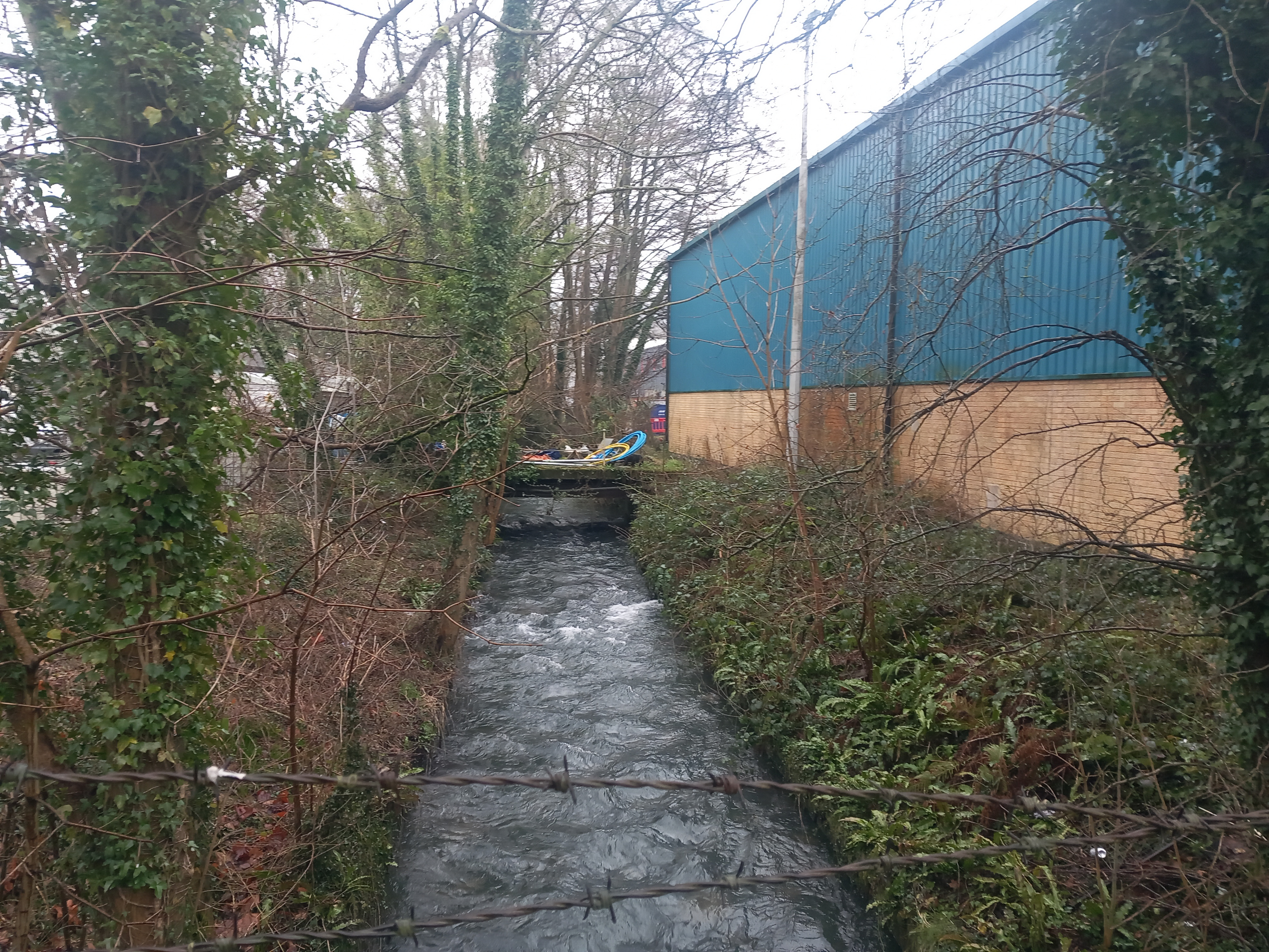 2024-10-02 Old Mill Leat on the River Frome at Thrupp