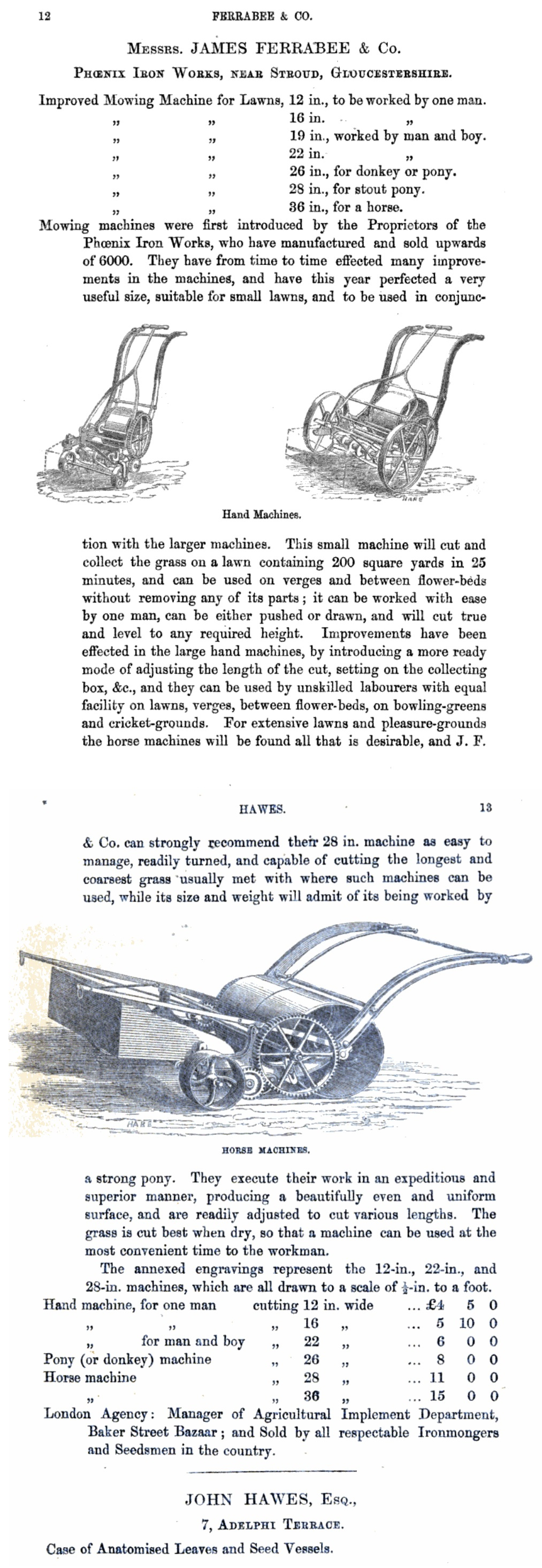 1857-06-03 Horticultural Society Of London - Ferrabee Listing