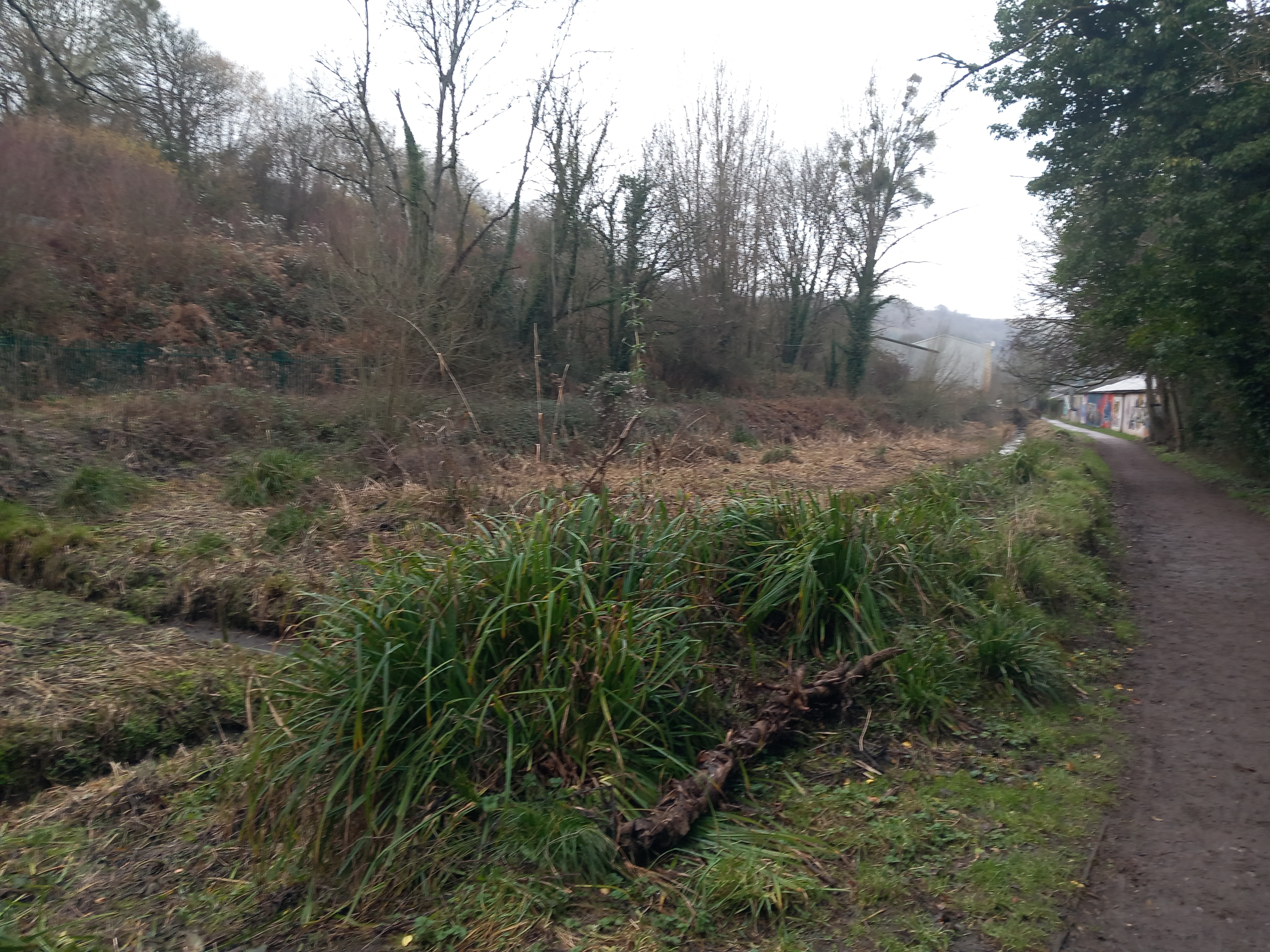 Thames and Severn Navigation Between Gough's Orchard Lock and Brimscombe Port
