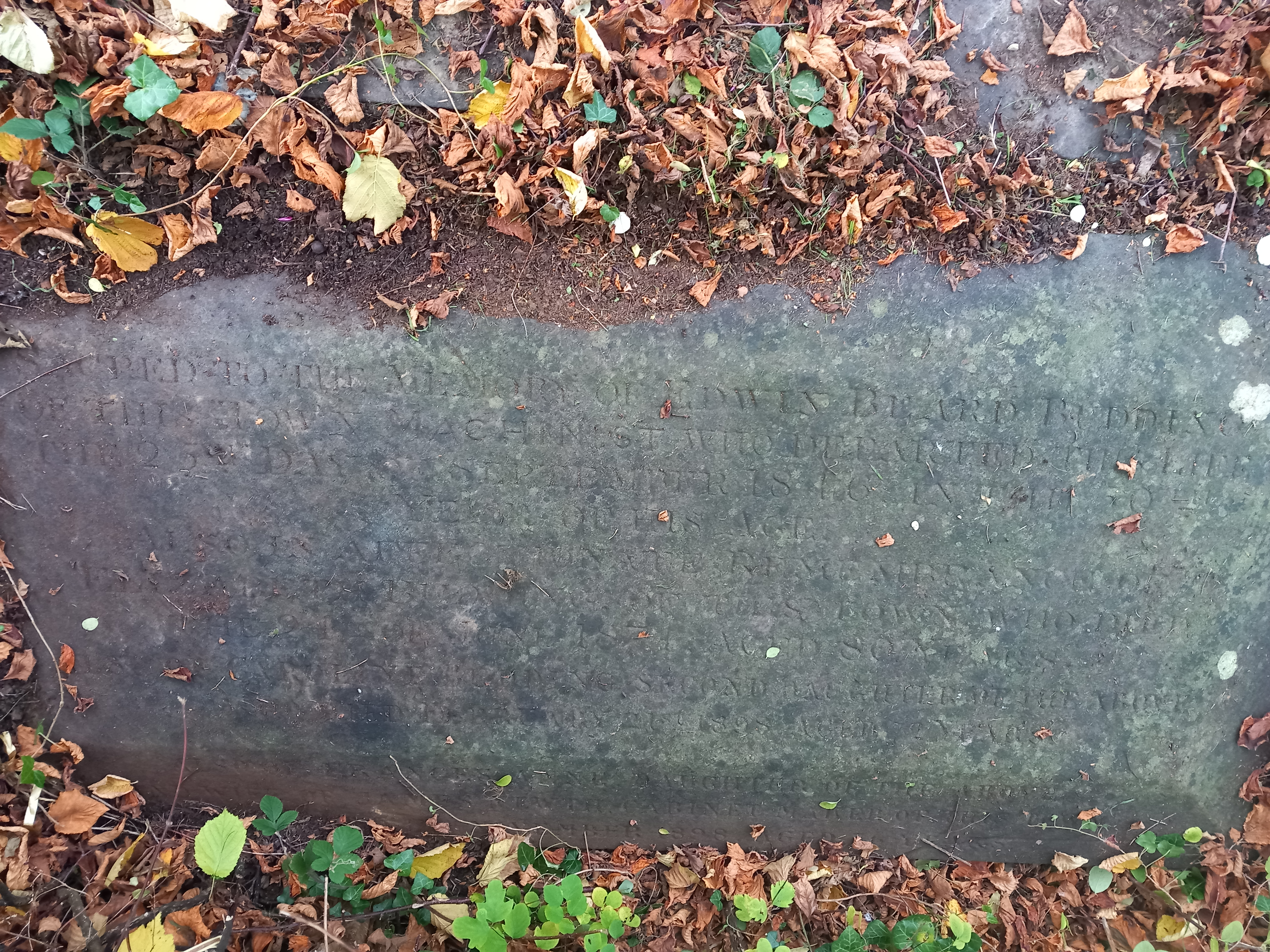 Budding Family Grave