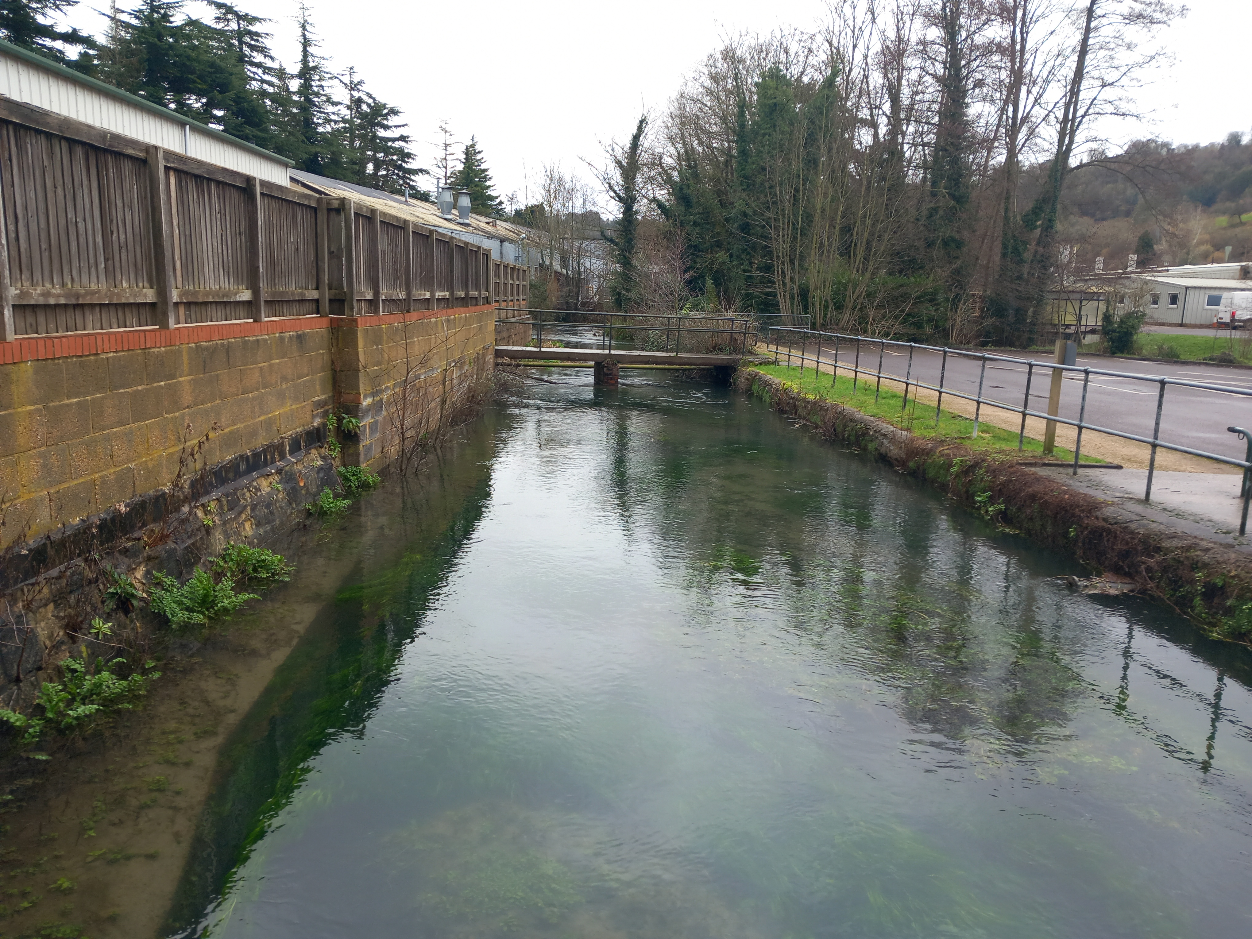 River Frome at Griffin Mill, Thrupp