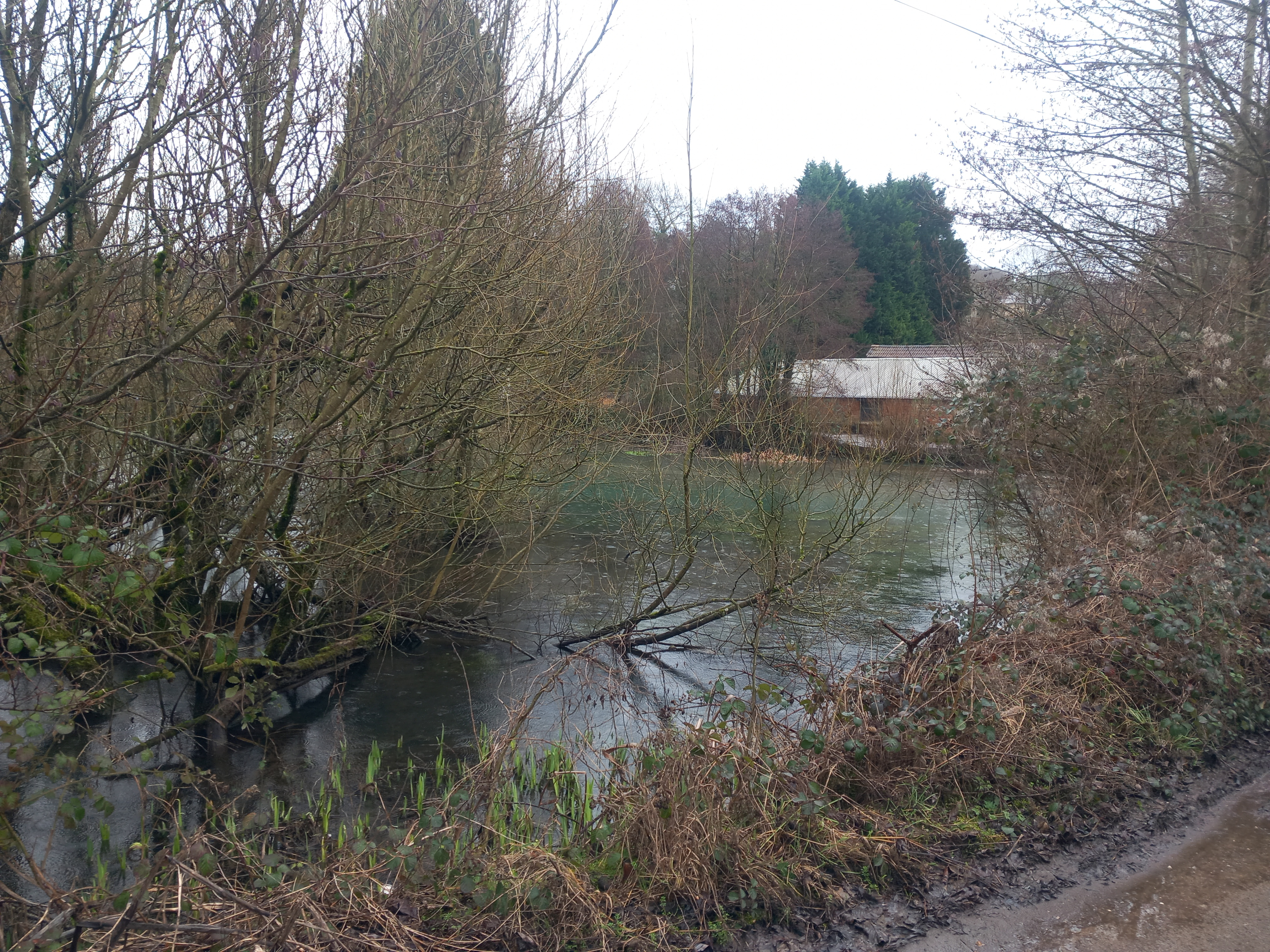 Mill Pond Between Brimscombe Upper and Lower Mills