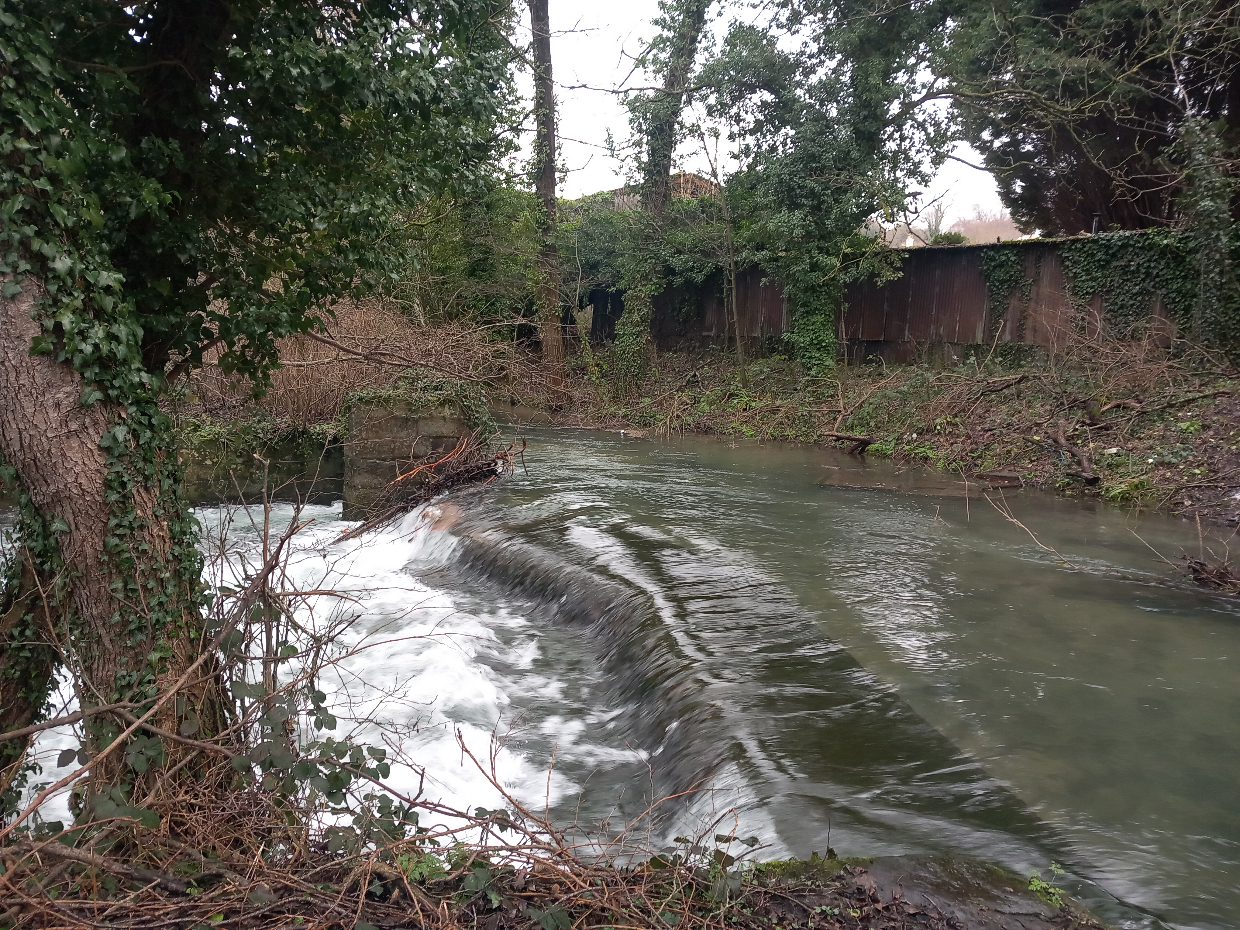 Weir on River Frome between Ham Mill and Thrupp Mill