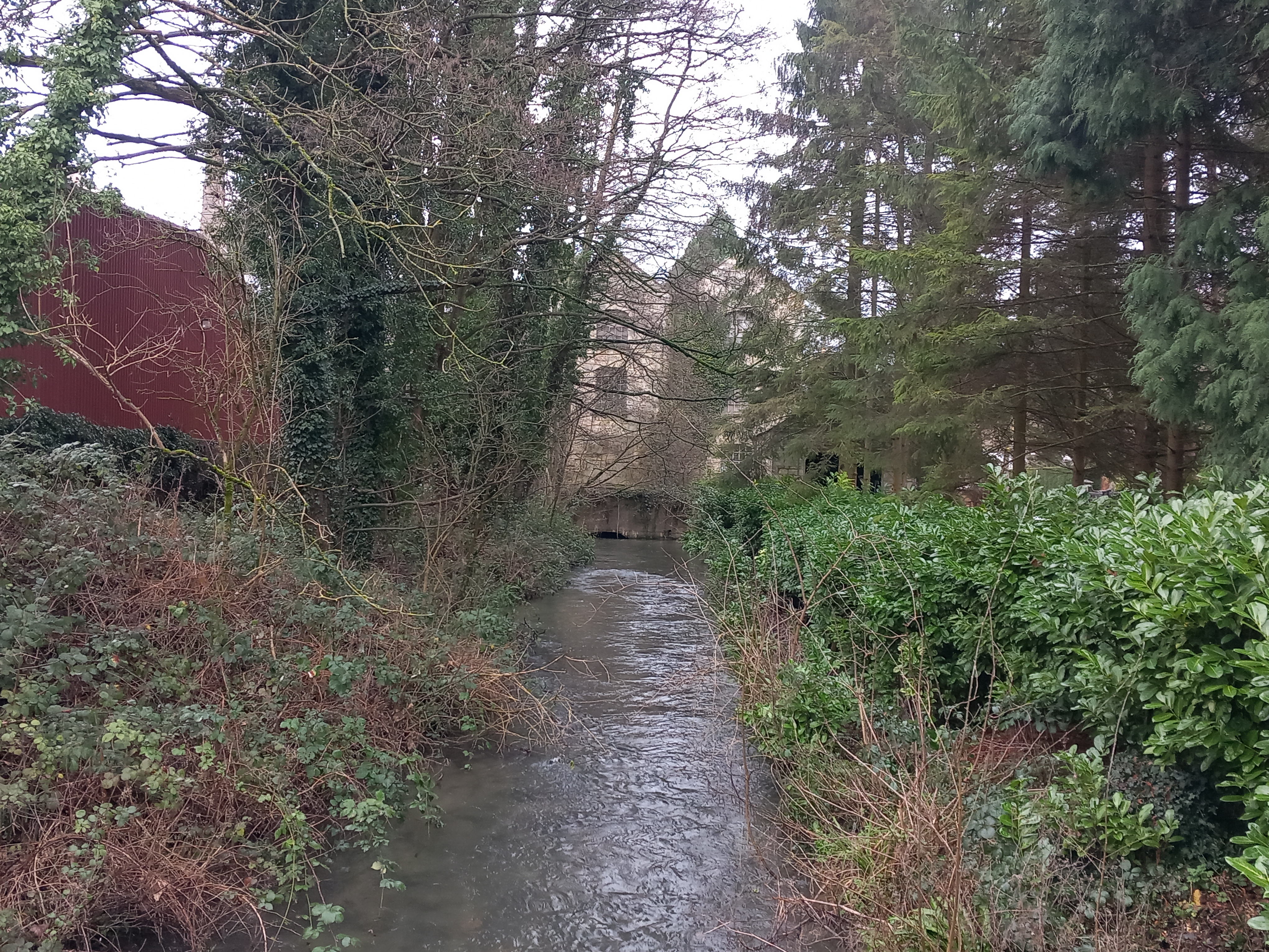 Ham Mill seen from Ham Lane