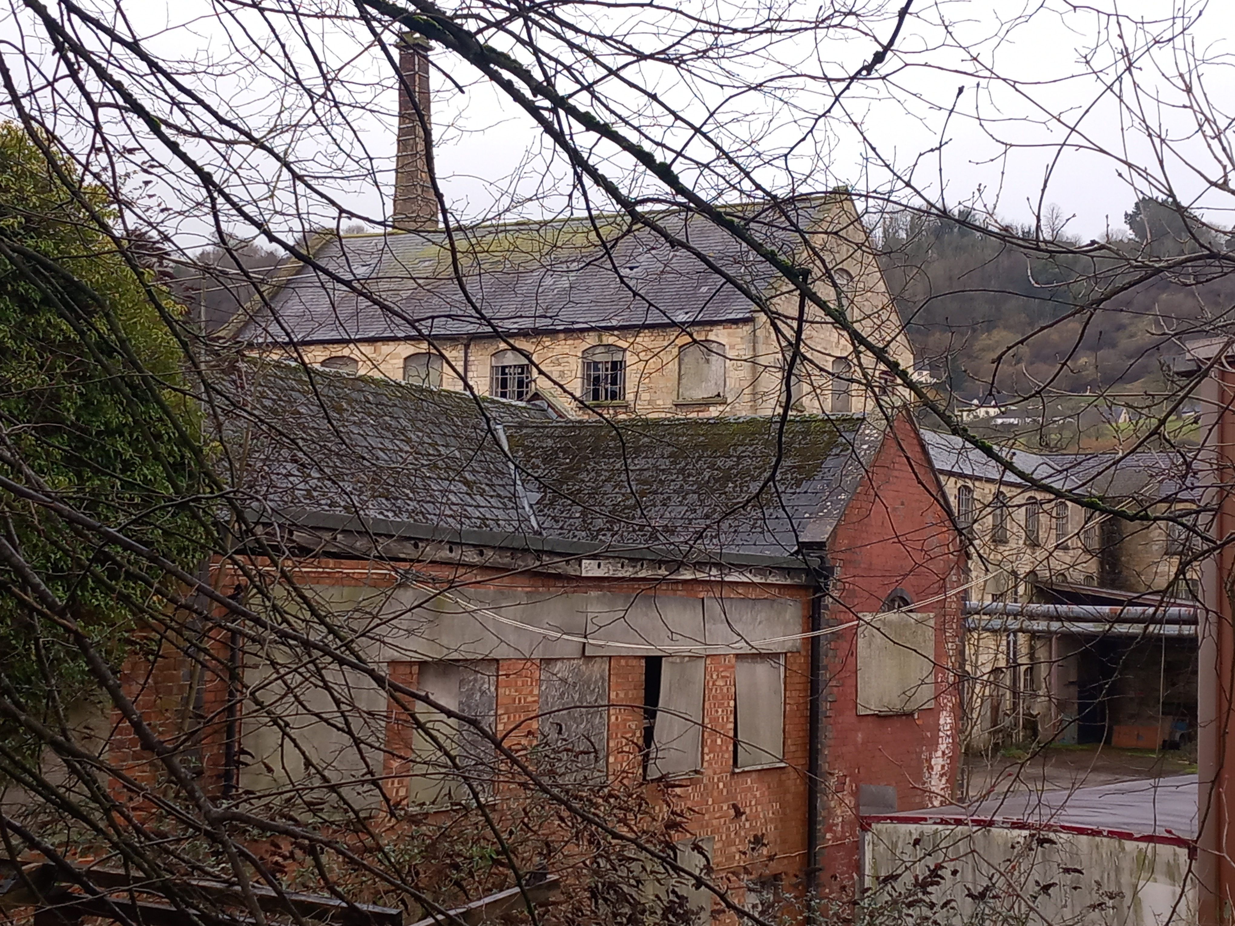 Derelict Ham Mill Through Trees 