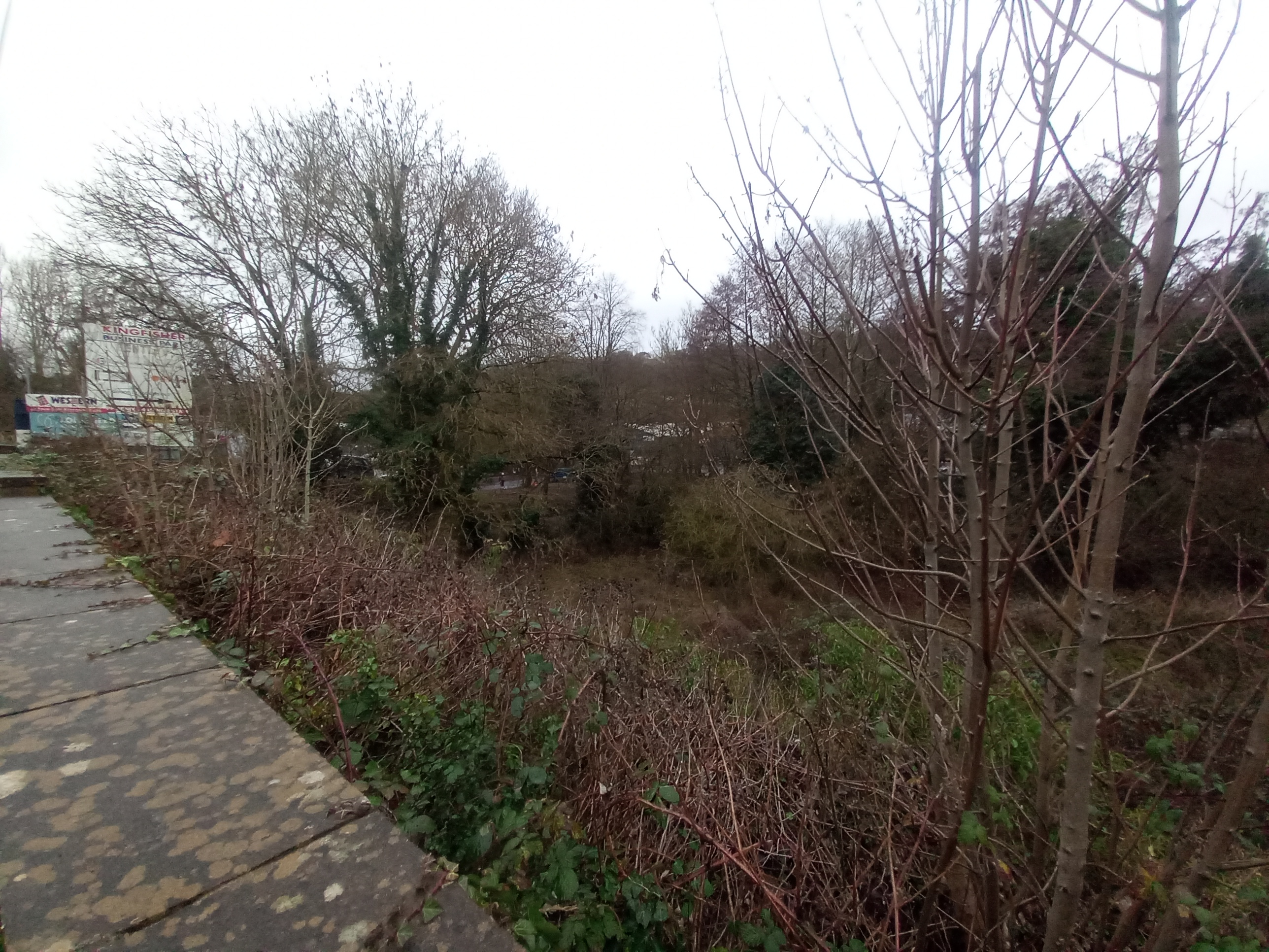 Site of Phoenix House and Cottage