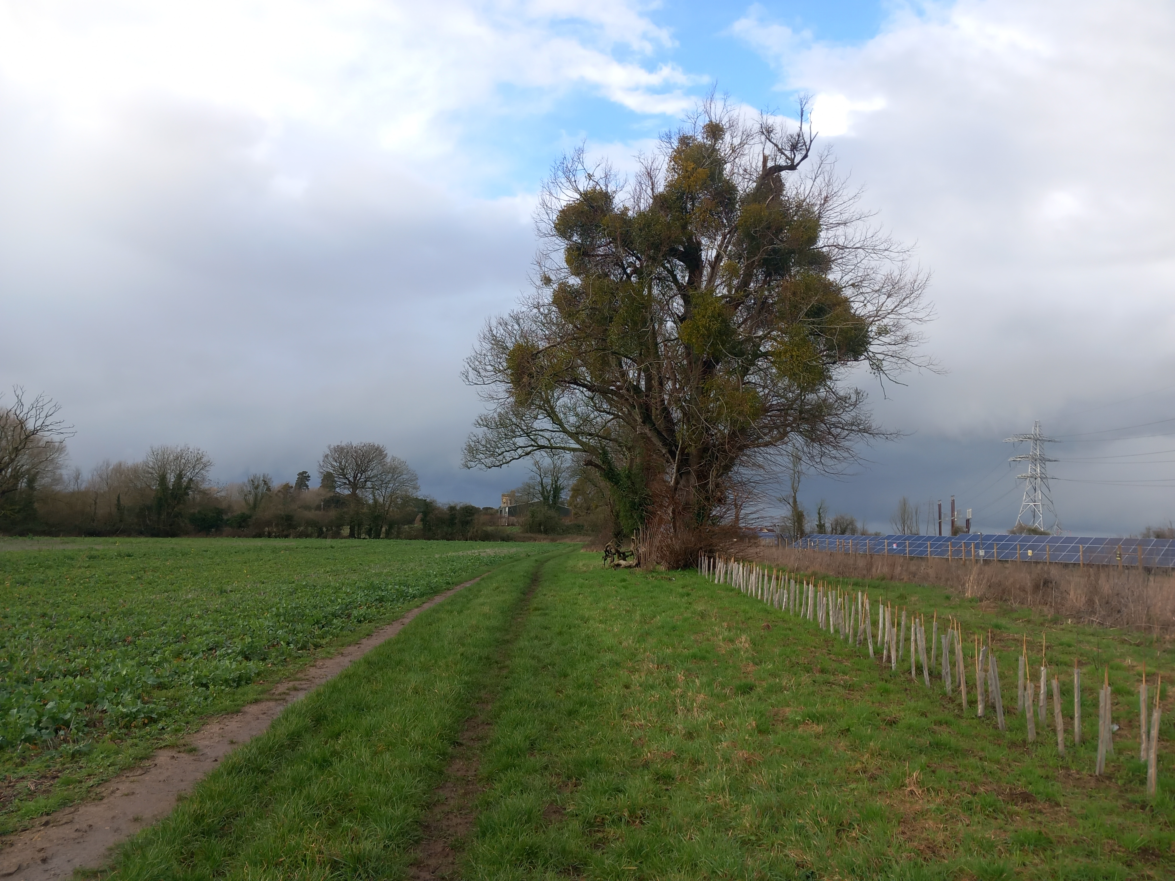 Old Path From Eastington to Whitminster