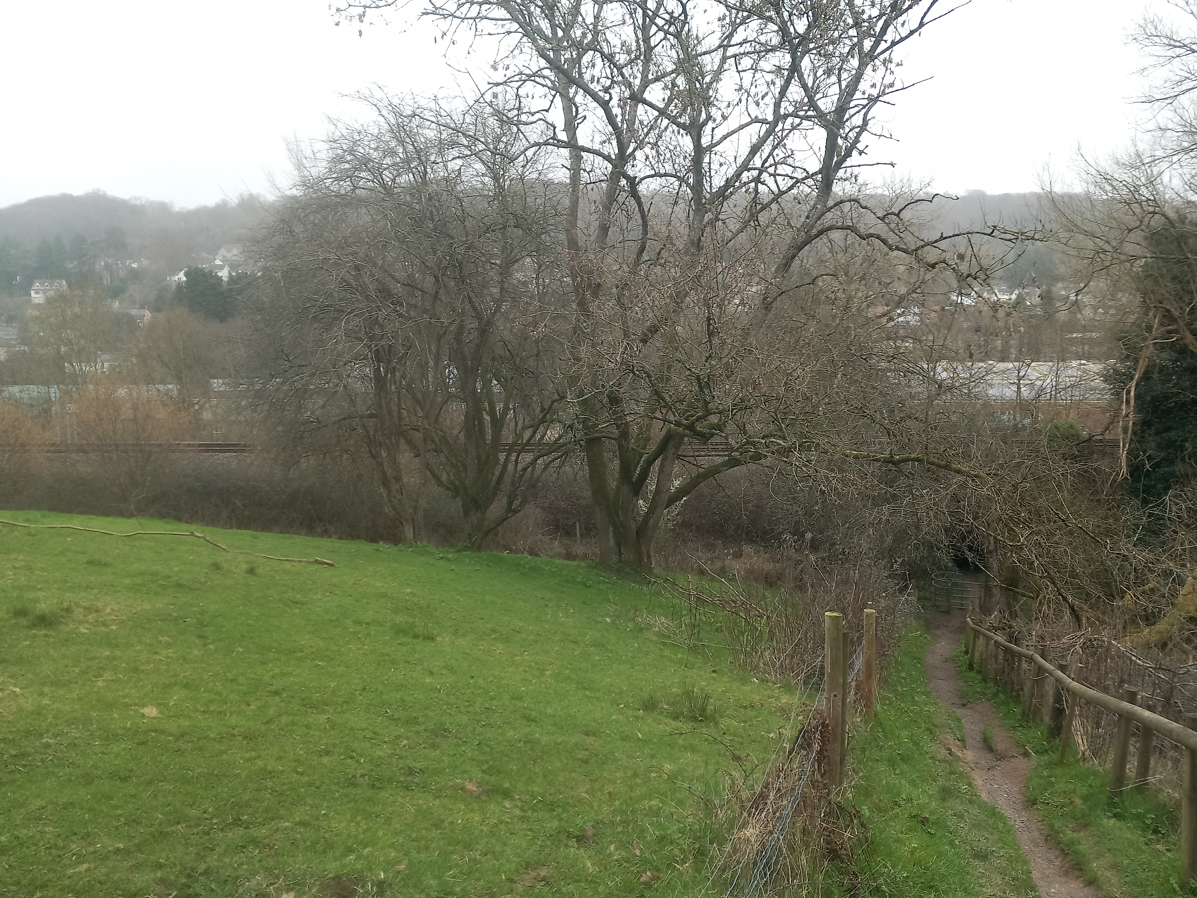 Thrupp Estate Field No 66