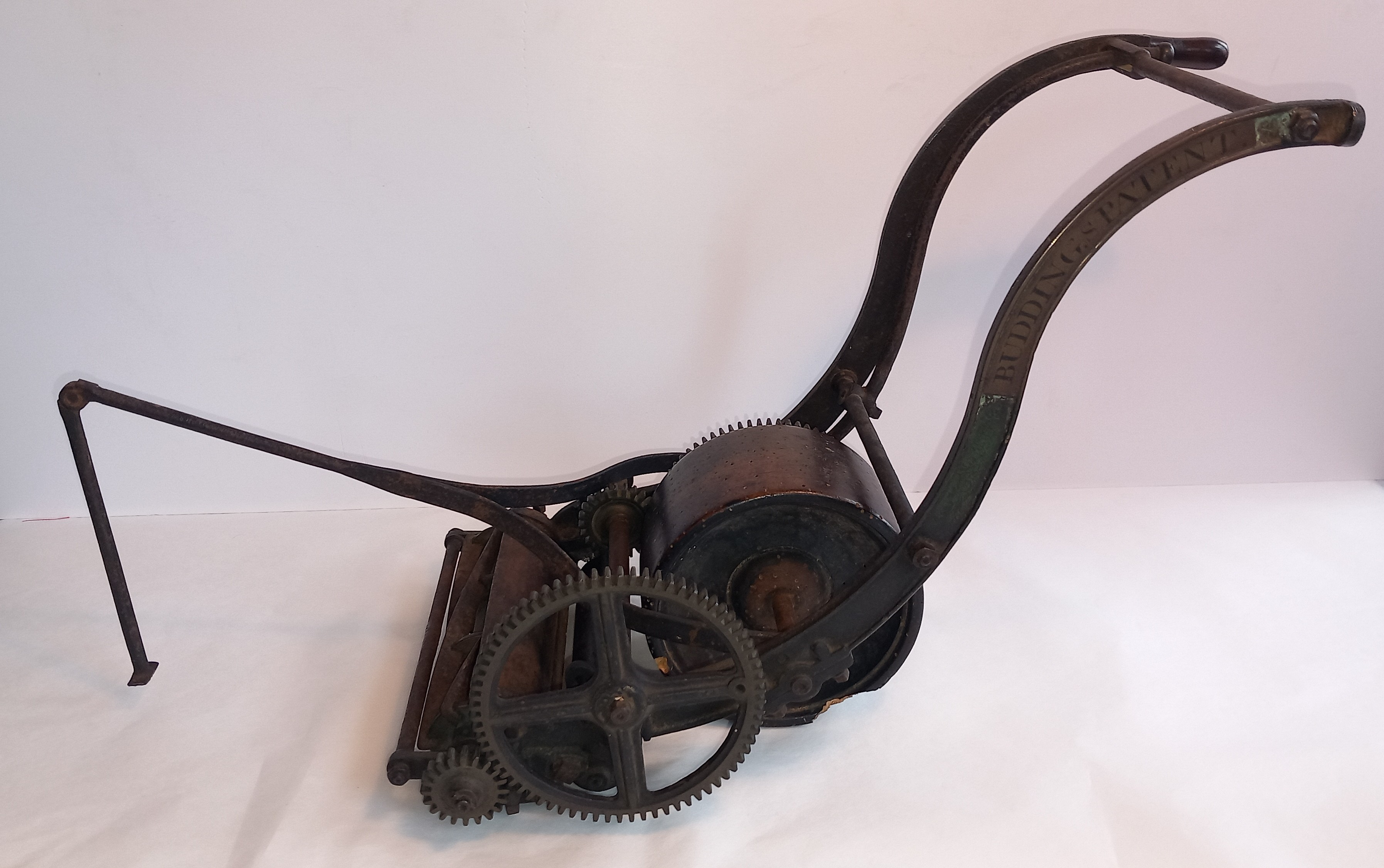 Budding Patent Model