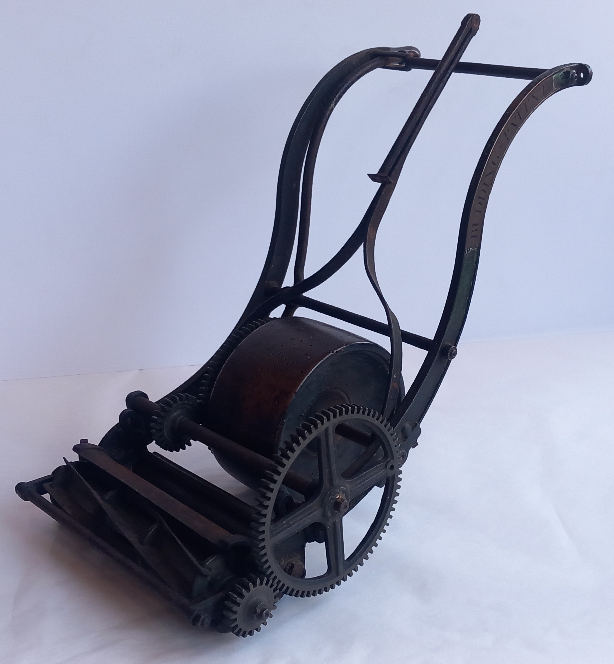 Budding Patent Model