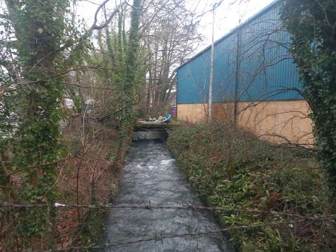 2024-10-2    Old Mill Leat on the River Frome at Thrupp