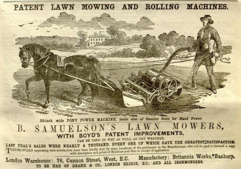 Samuelson & Co.  Advertisement in The Gardeners Chronicle - 21st July 1860