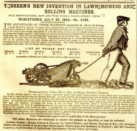 T. Greens advertisement - 14th June 1856