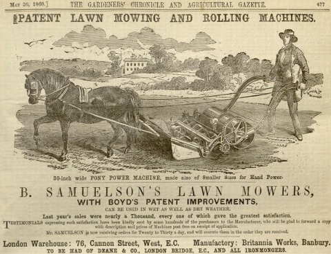 Samuelson & Co.  Advertisement - The Gardeners Chronicle - 26th May 1860