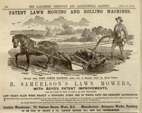 Samuelson & Co. Advertisement in The Gardeners Chronicle 16th June 1860