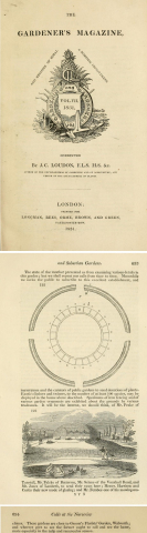 1831  The Gardeners Magazine - Mr Ferrabee