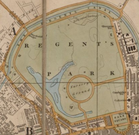 Crutchley's 1831 Map of London - Regents park
