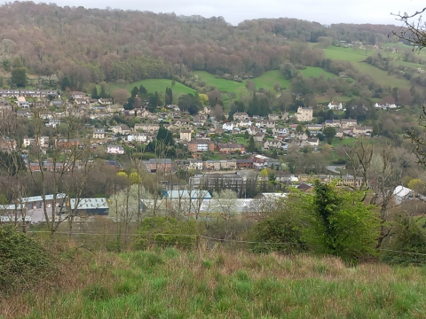 Pheonix Ironworks site from Bagpath