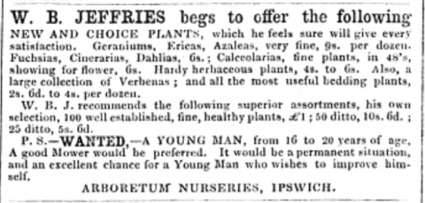 1855-05-08  The Cottage Gardener - Young Man wanted for Mowing