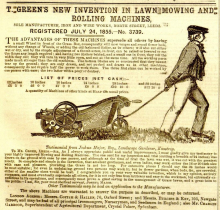 T. Greens advertisement - 14th June 1856