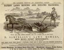 Samuelson & Co. Advertisement in The Gardeners Chronicle 16th June 1860