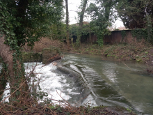 A Weir on The River Frome between Ham Mill and Thrupp Mill site