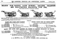 Shanks advertisement